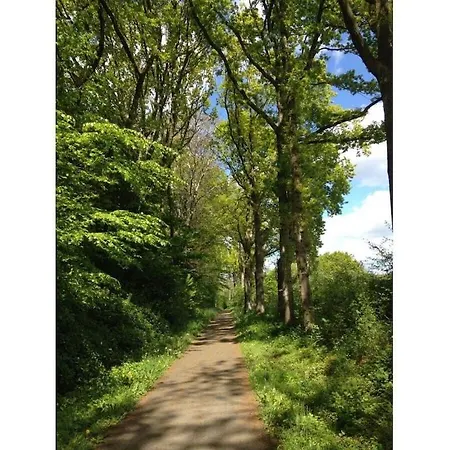 Dom wakacyjny Weitsicht 11 Comfortable *